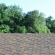 Roof installed with asphalt shingles