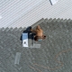 A skilled worker replaces shingles on a roof