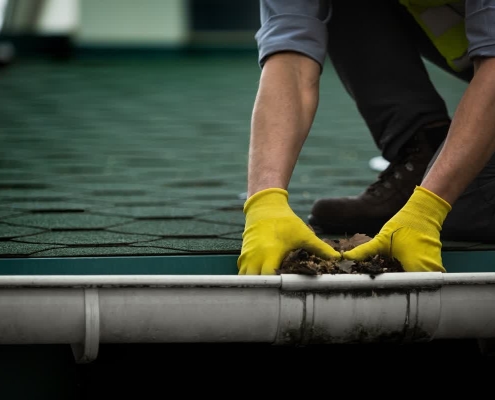 Homeowner safely performing DIY roof maintenance by cleaning gutters with ladder and gloves