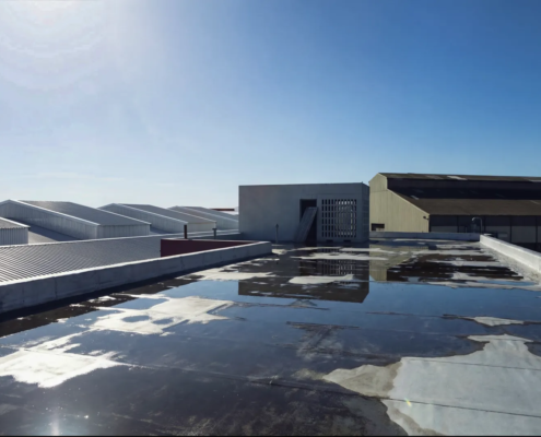 Commercial flat roof with standing water showing commercial roof liability risks